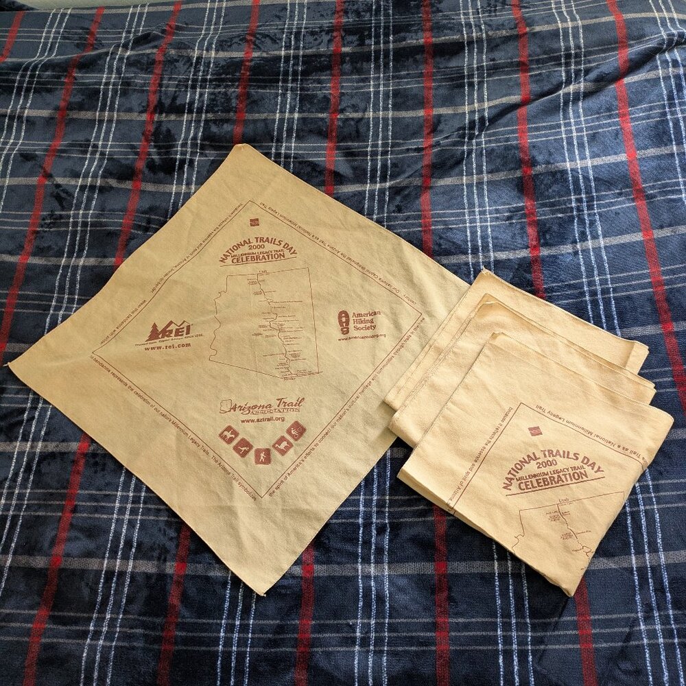 Lot of 4 Vintage 2000 REI Arizona Trail National Trail Day Bandanas Rare Find
